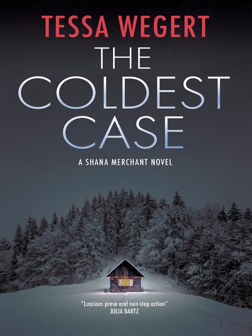 Cover image for The Coldest Case